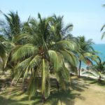 Moments from Colombia’s Caribbean Coast