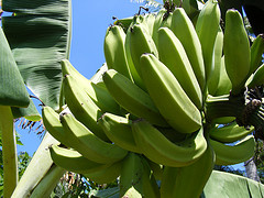 2990209885_6f994eea94_m