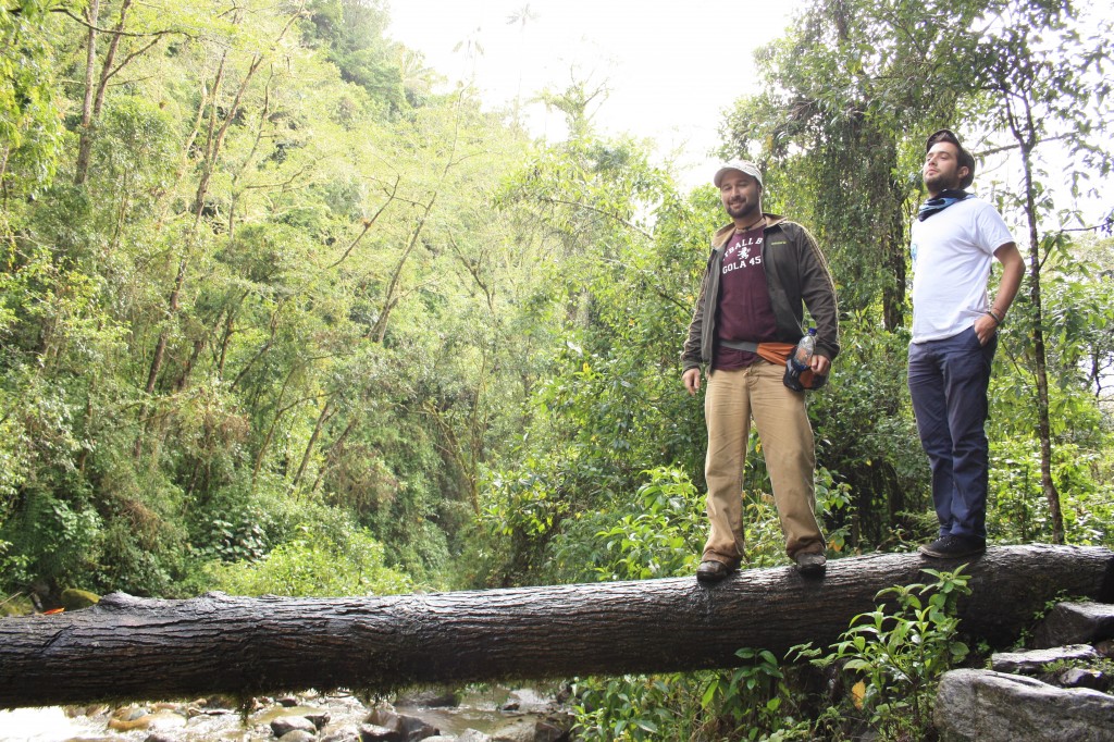Cocora Valley