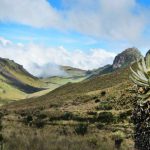 From the vault: “Travel to Pereira in Colombia’s beautiful Coffee Triangle”