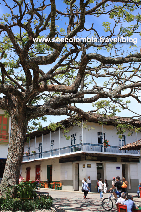 Jardin Plaza - Medellin See Colombia Travel