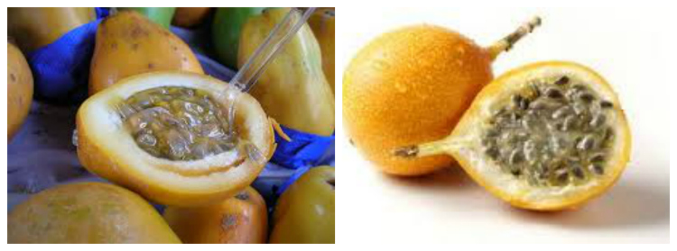 passionfruit grenadilla