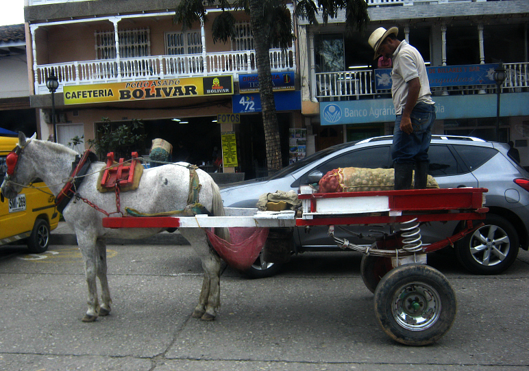 It doesn´t hurt if there`s also a guy with a hat on his horse's cart in front of an SUV, roast chicken shop and billiards hall.