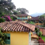 Finca La Sierra, Antioquia: Catando el mejor café colombiano