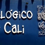 The Cali Zoo: Explore Colombia’s Wonderful Wildlife