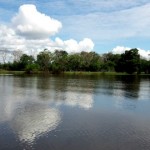 Foto Galería de Colombia: La selva Amazónica