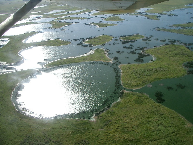 The Pantanal