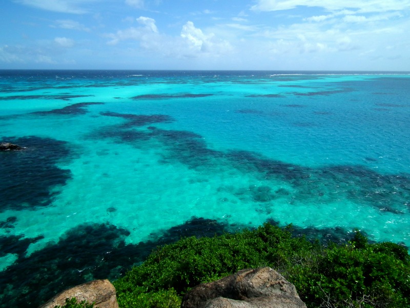 Diving Providencia