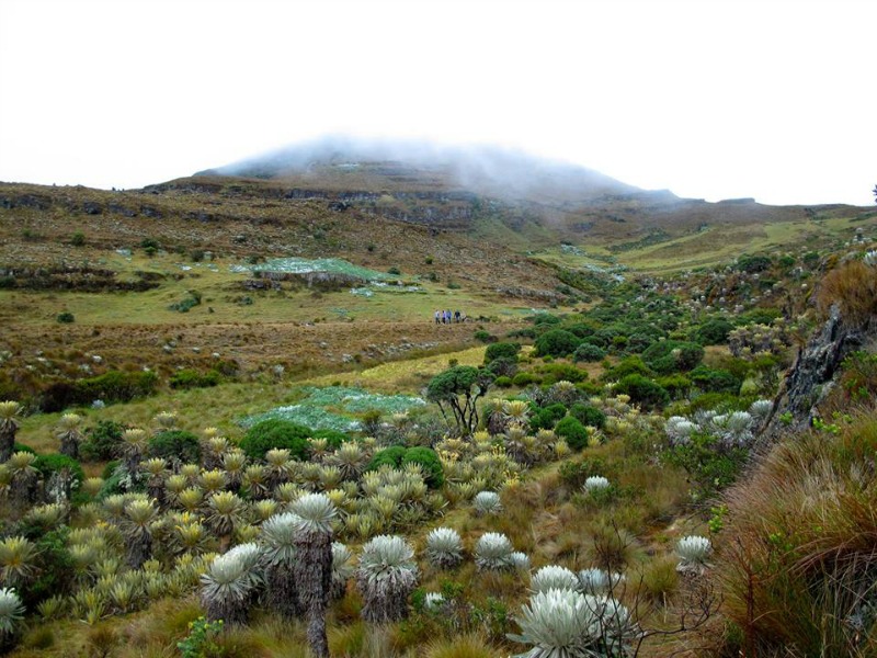 Paramo Colombia