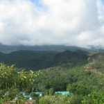 Top 5 Sunny Escapes from Bogota