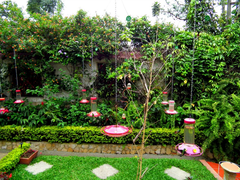 El Jardin Encantado Colombia