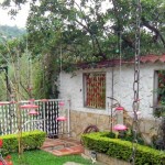 El Jardín Encantado: Colombia’s Hummingbird Paradise