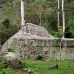 Coffee Tour & Indian Rock Art with Andes Ecotours