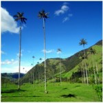 Colombia by Numbers: The Tallest…