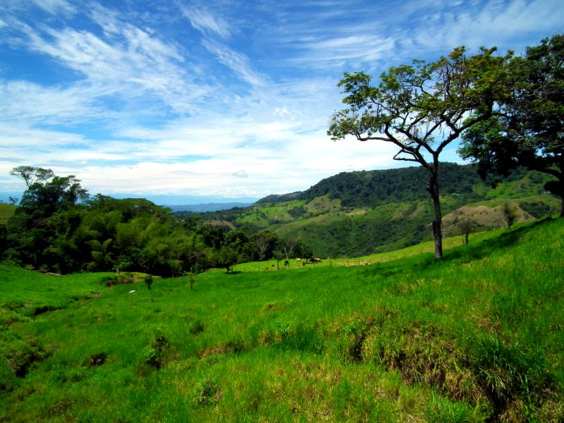 La Victoria Caldas Colombia