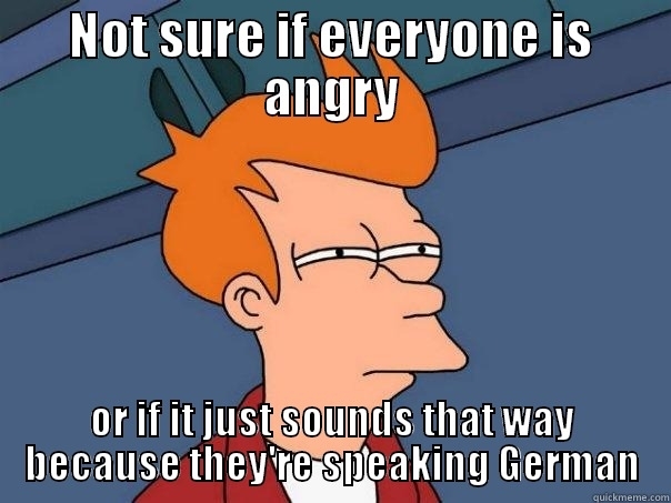 German directness