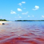 Visit the Estrella Fluvial del Sur & the Beaches of the Atabapo River