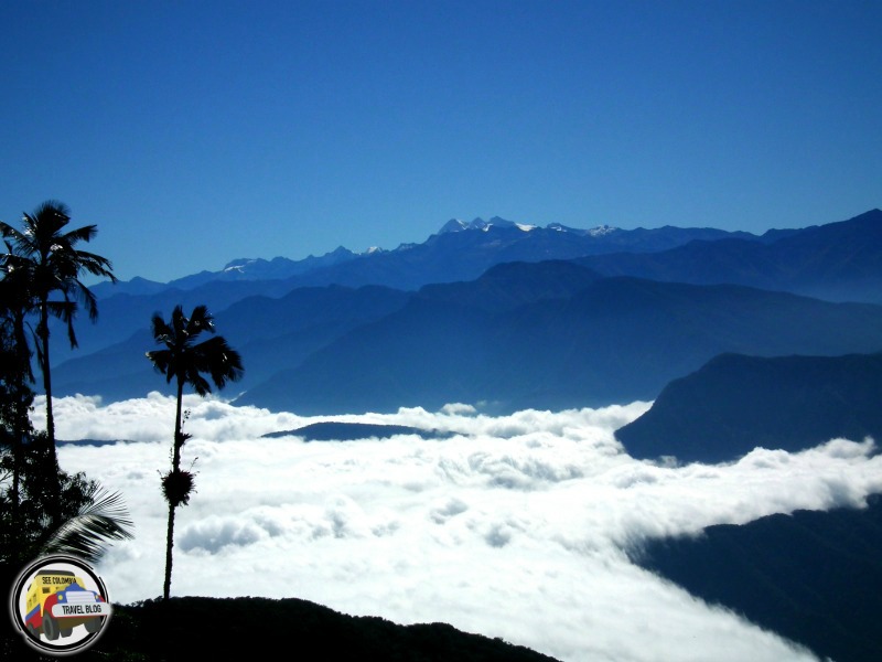 san lorenzo ridge colombia