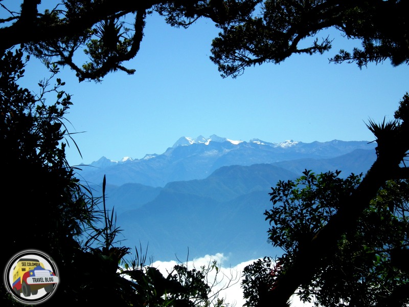 san lorenzo ridge colombia