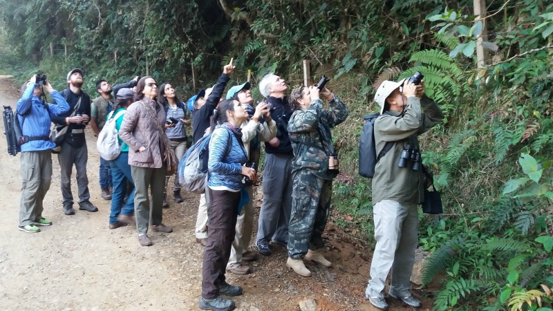 colombia birdfair cali 2017