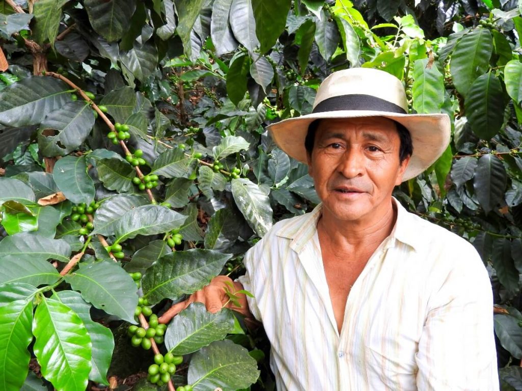 Experiencia cafetera Quindío Colombia