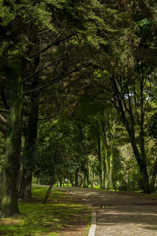 photos of bogota colombia