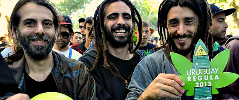 Marihuana en Uruguay
