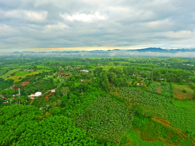 globos colombia quindio