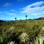 5 Increíbles excursiones más desde Bogotá