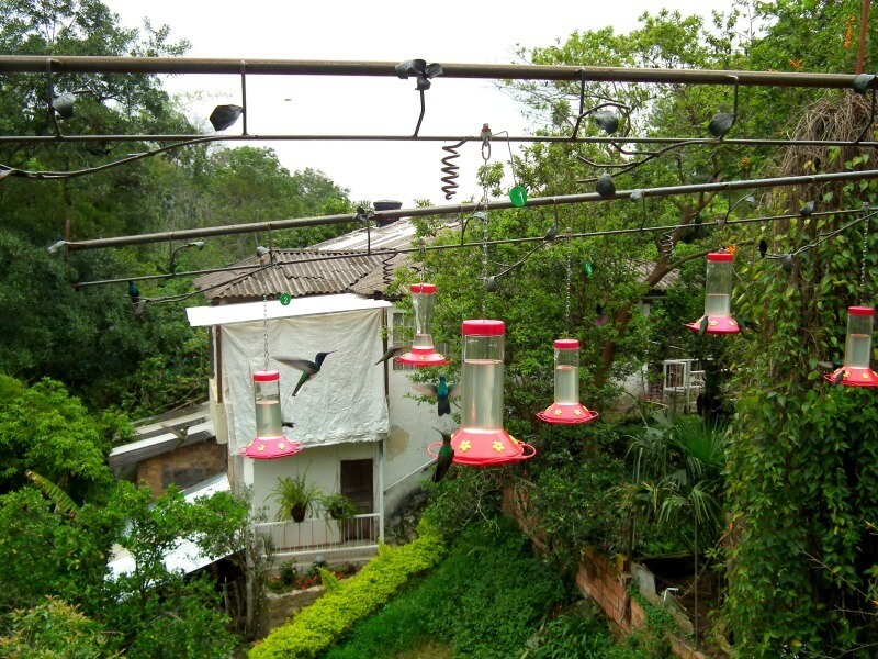 Hummingbird feeders at El Jardín Encantado