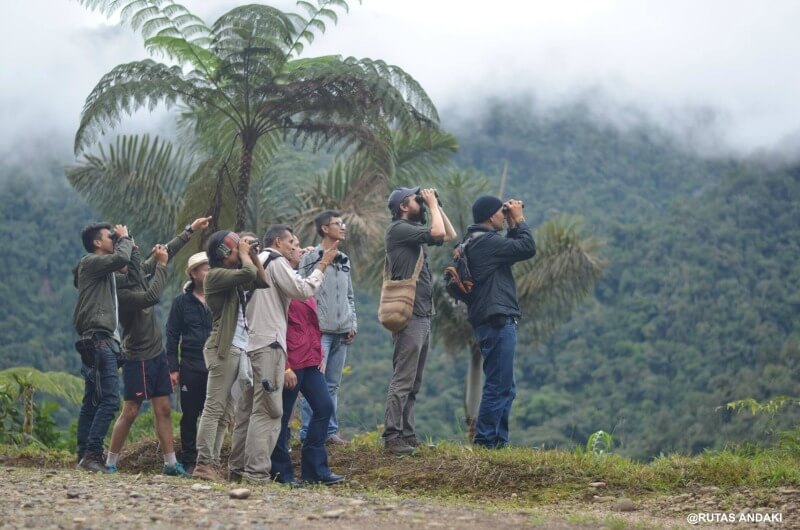 Observación de aves en el Mirador de los Tucanes