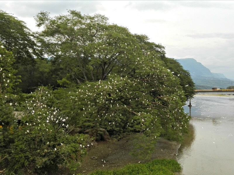 La Pintada Antioquia