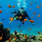 5 amazing spots for scuba diving in Punta Cana